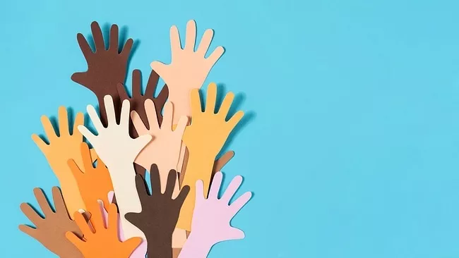 Sociedade Empresária Limitada