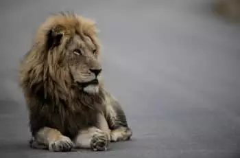 Medidas que devem ser tomadas na empresa para não cair na malha fina